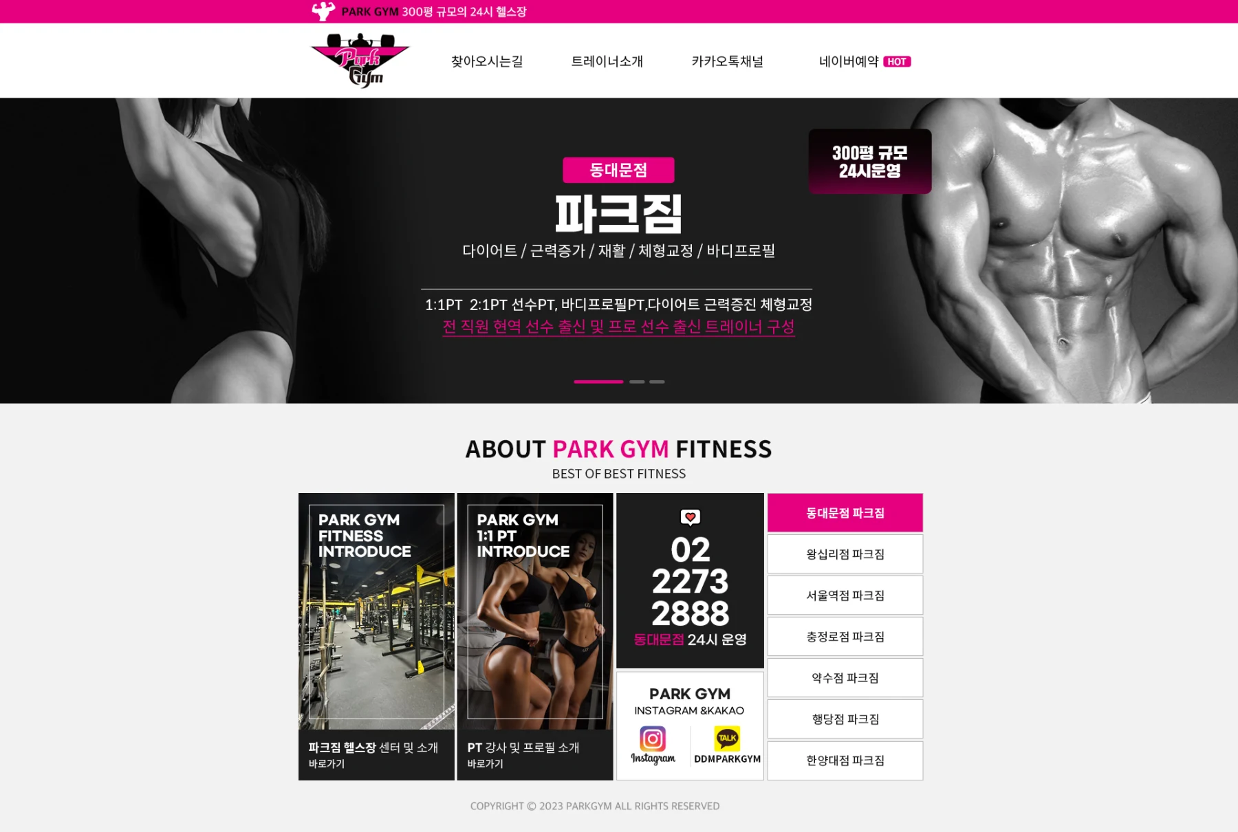 파크짐 스킨디자인